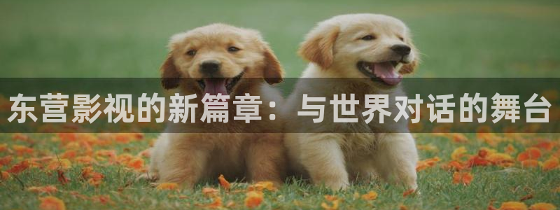 理论片97理论午夜片