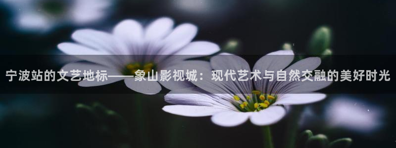 福利视频97
