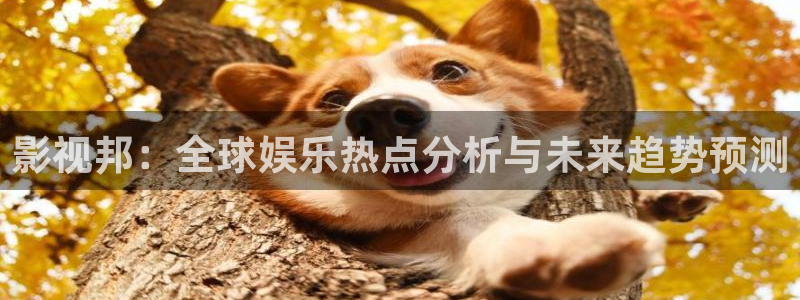 97视频二区