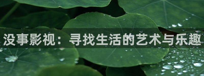 97dy影院